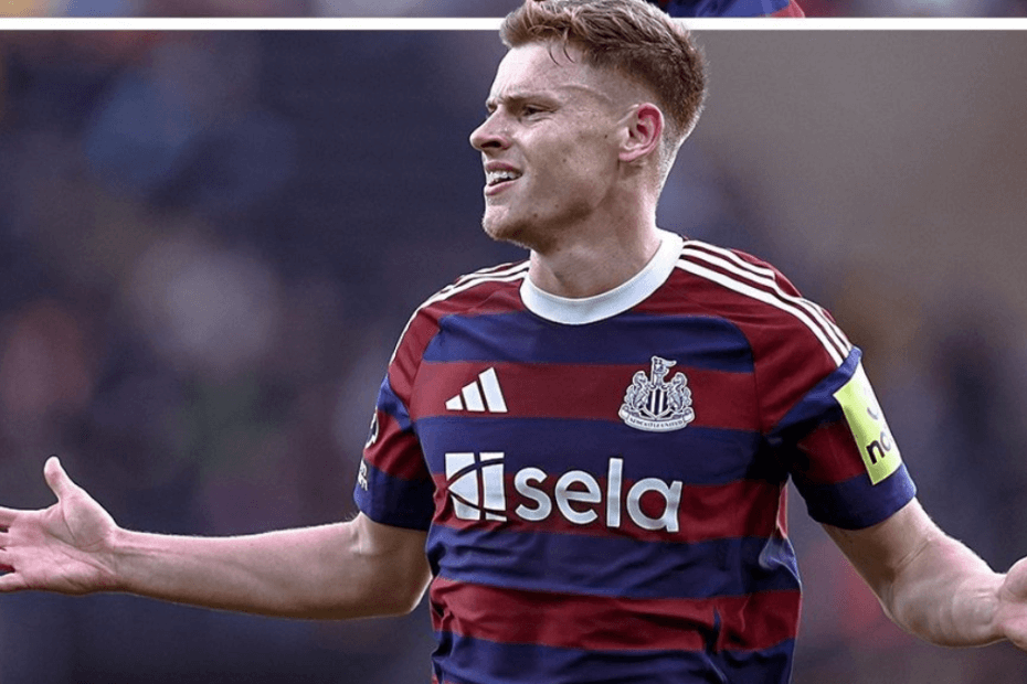 Fulham vs Newcastle United – match previews